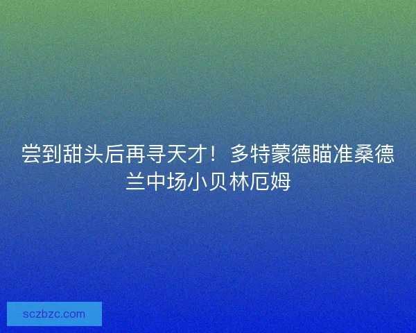 尝到甜头后再寻天才！多特蒙德瞄准桑德兰中场小贝林厄姆